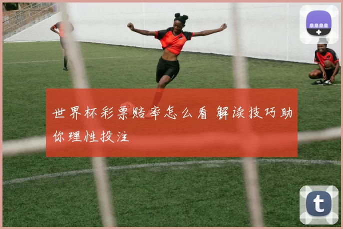 世界杯彩票赔率怎么看 解读技巧助你理性投注