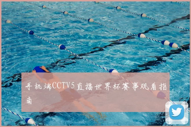 手机端CCTV5直播世界杯赛事观看指南