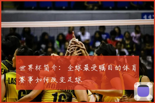 世界杯简介:全球最受瞩目的体育赛事如何改变足球