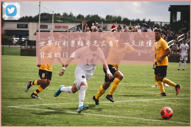 世界杯彩票赔率怎么看？一文读懂背后的门道