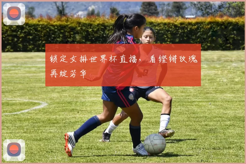 锁定女排世界杯直播，看铿锵玫瑰再绽芳华