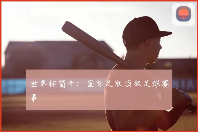 世界杯简介:国际足联顶级足球赛事