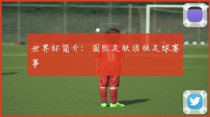 世界杯简介：国际足联顶级足球赛事