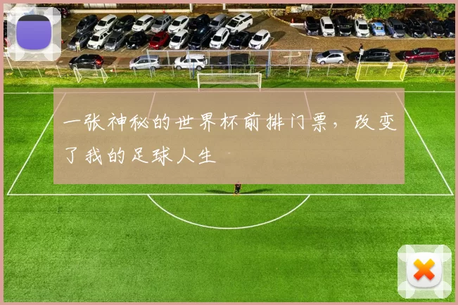 一张神秘的世界杯前排门票，改变了我的足球人生