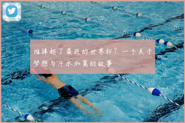 谁捧起了最近的世界杯？一个关于梦想与汗水加冕的故事