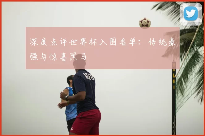 深度点评世界杯入围名单：传统豪强与惊喜黑马