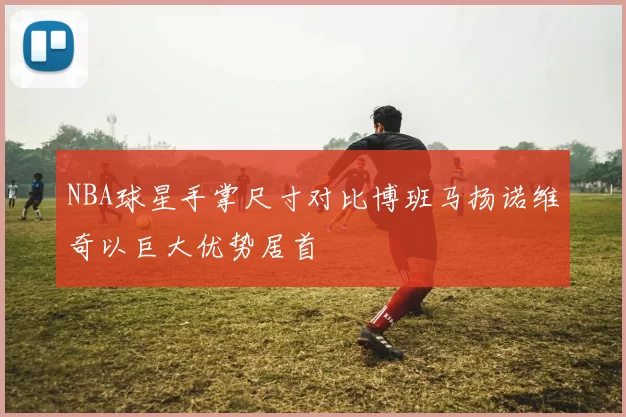NBA球星手掌尺寸对比博班马扬诺维奇以巨大优势居首