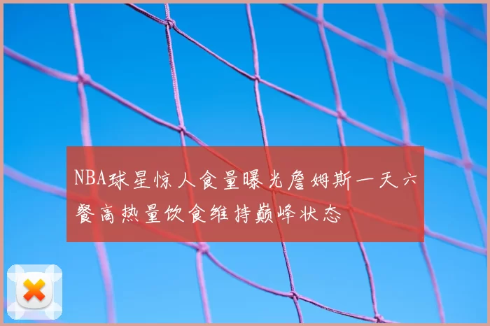 NBA球星惊人食量曝光詹姆斯一天六餐高热量饮食维持巅峰状态