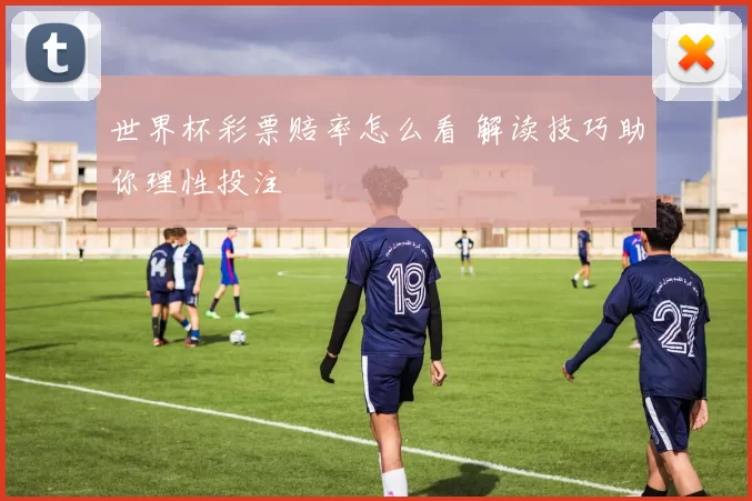 世界杯彩票赔率怎么看 解读技巧助你理性投注