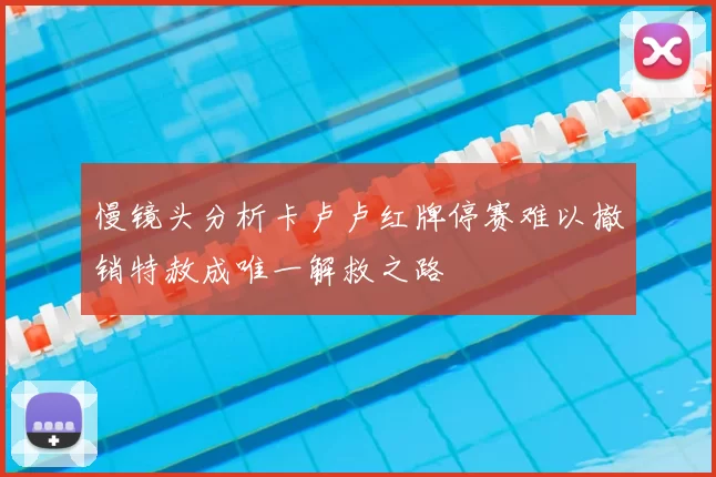 慢镜头分析卡卢卢红牌停赛难以撤销特赦成唯一解救之路