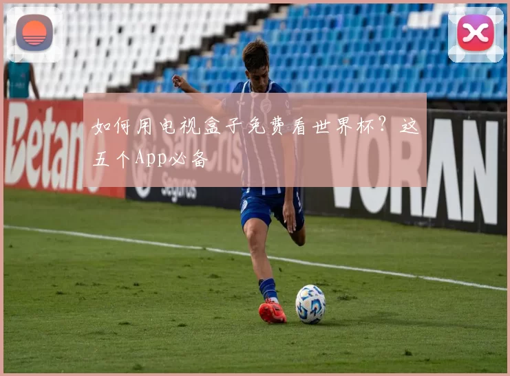 如何用电视盒子免费看世界杯？这五个App必备