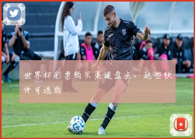 世界杯彩票购买渠道盘点，这些软件可选购