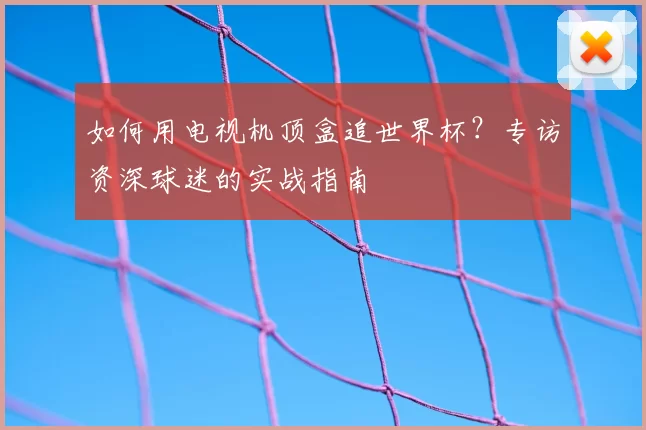如何用电视机顶盒追世界杯？专访资深球迷的实战指南